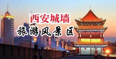 小穴23p中国陕西-西安城墙旅游风景区
